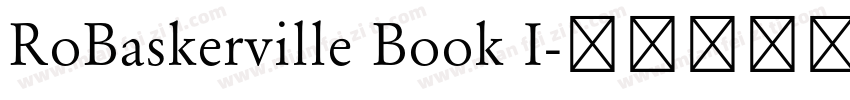 RoBaskerville Book I字体转换